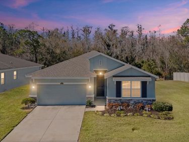 2873 STORYBROOK PRESERVE DRIVE, ODESSA, FL 33556
