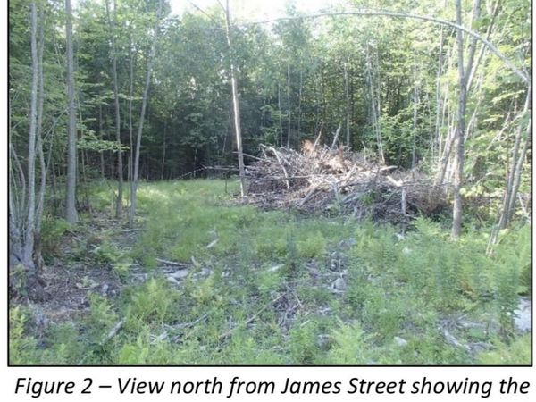 7 James Street, Bethlehem, NH 03574