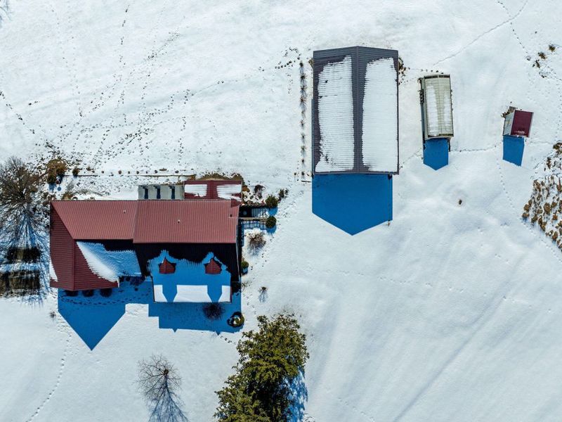 734 Cooper Lane, Brooksville, KY 41004 Photo 9