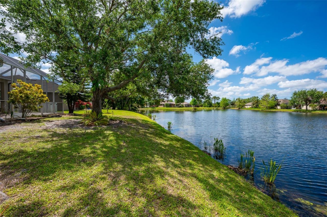 14214 Cattle Egret Place, Lakewood Ranch, FL 34202 Photo