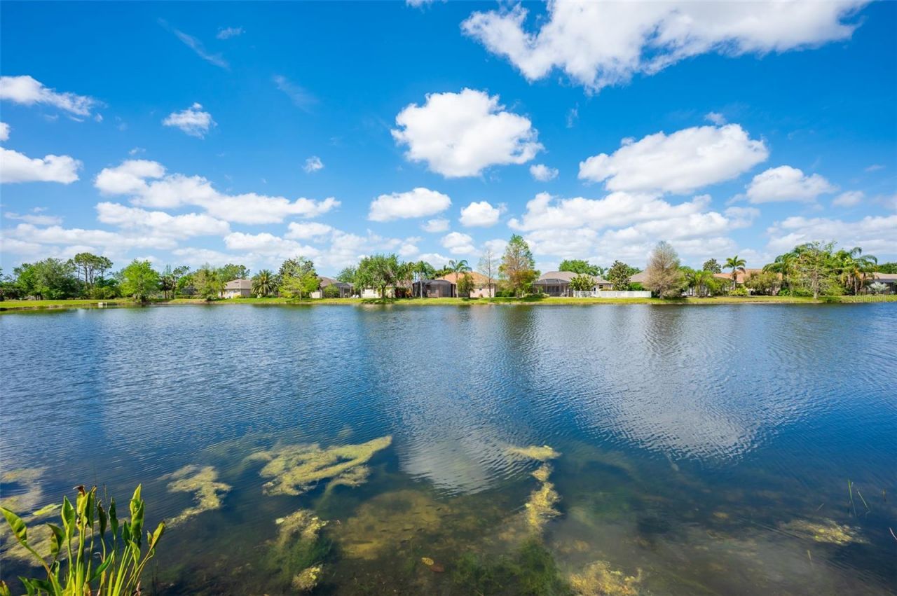 14214 Cattle Egret Place, Lakewood Ranch, FL 34202 Photo