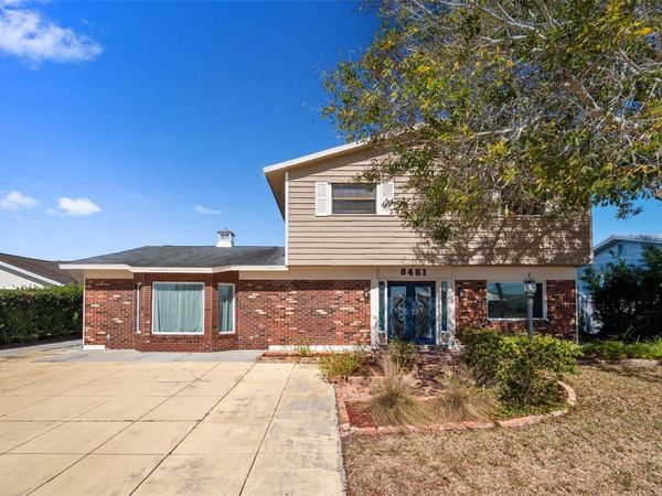 8461 FLAGSTONE DRIVE, TAMPA, FL 33615