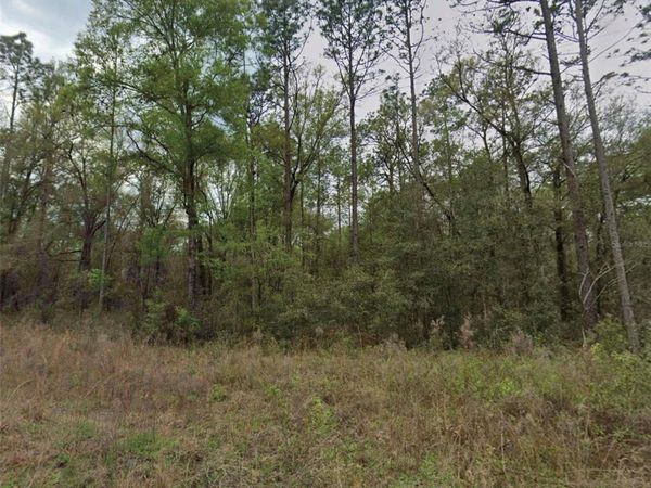 159TH AVENUE ROAD, OCALA, FL 34481