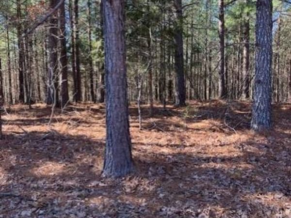 199 Madison CR 410 , Fredericktown, MO 63645