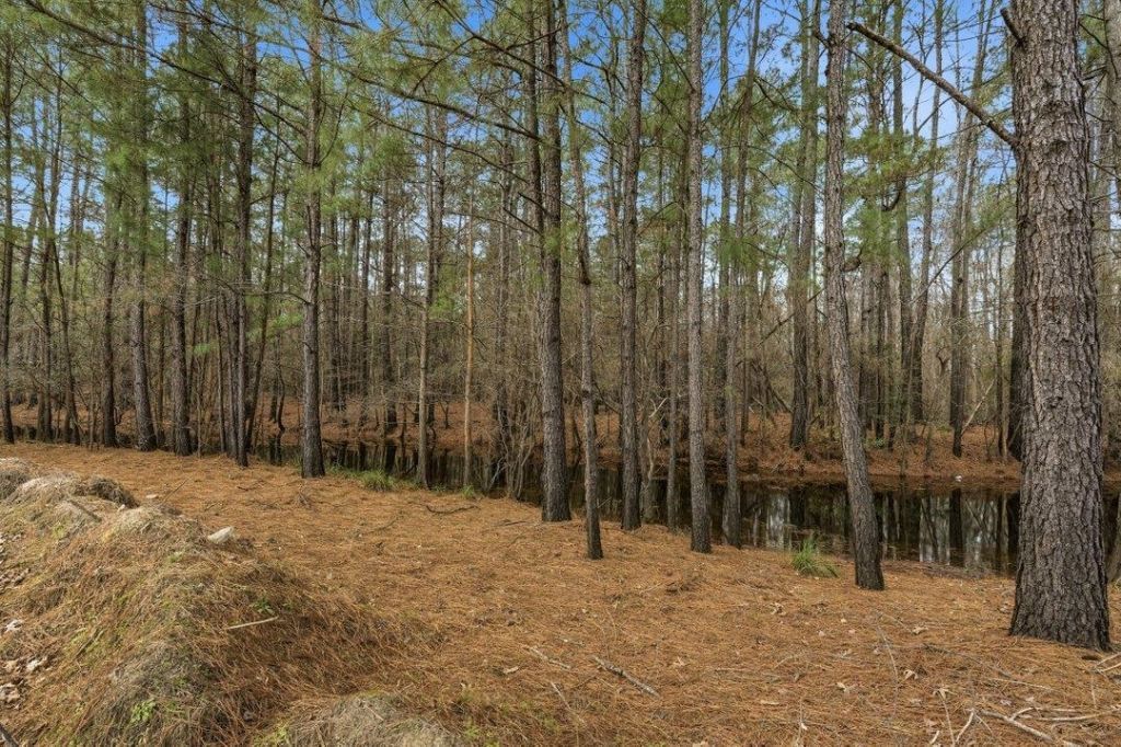 3566 Steamer Trace Rd. Photo 42