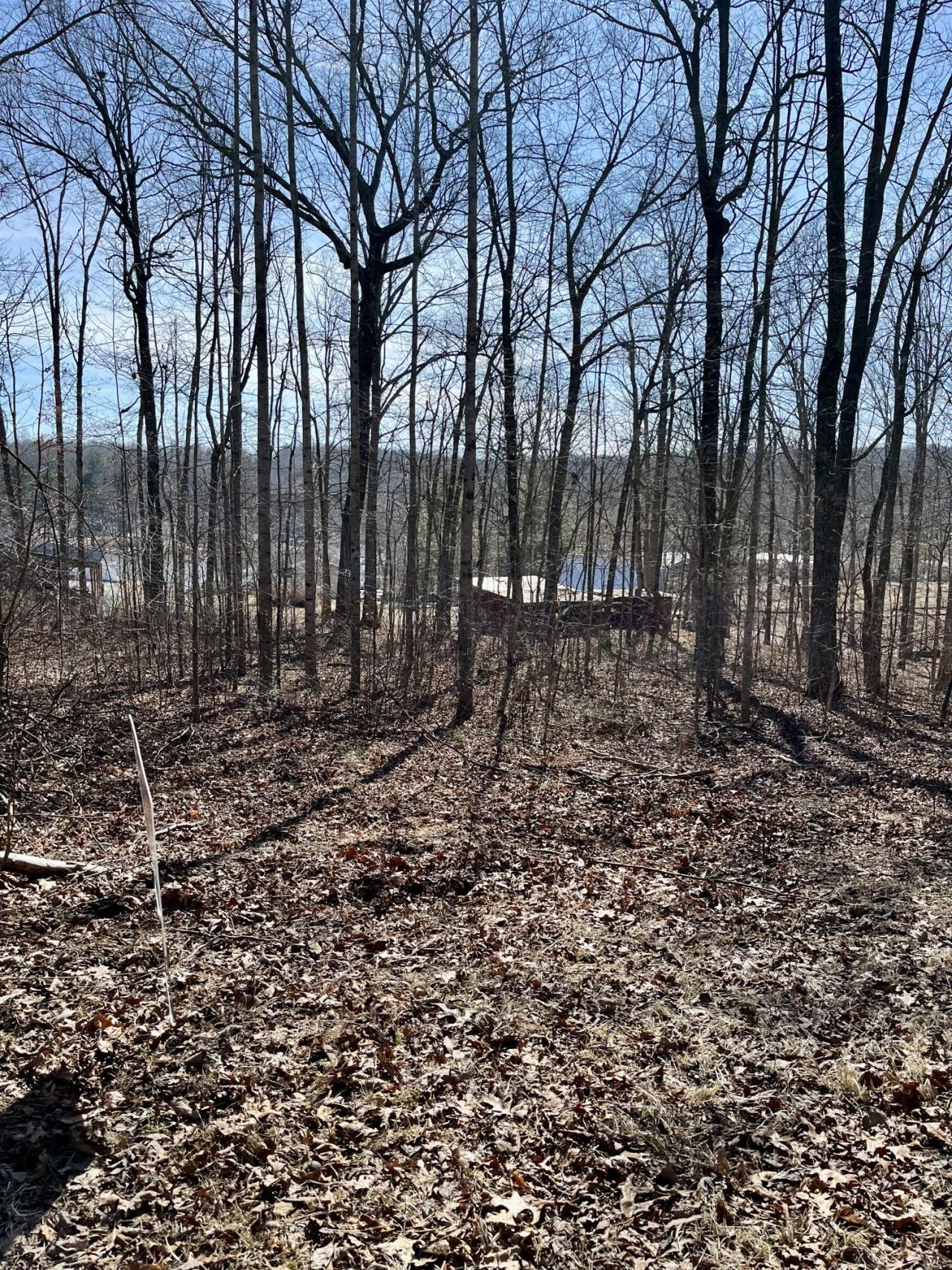 Lot 131 Quail Lane, Dunlap, TN 37327 Main Photo