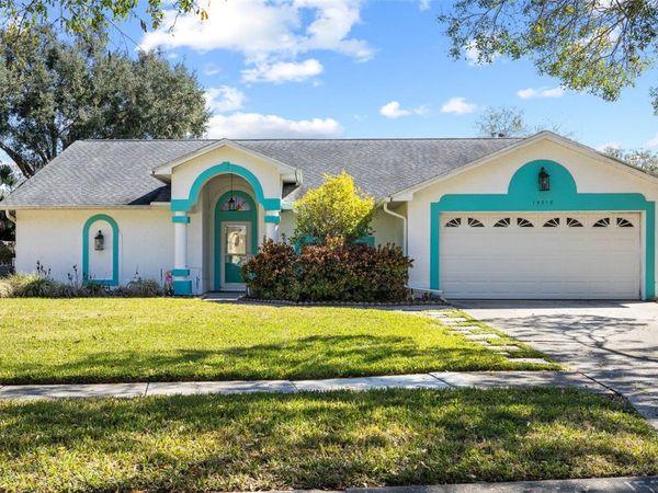 15315 CARROLLTON LANE, TAMPA, FL 33624