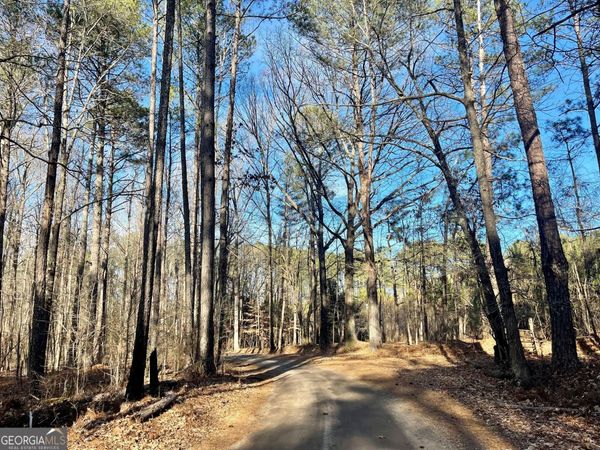 0 Padgett Road, Unit LOT 7, Senoia, GA 30276