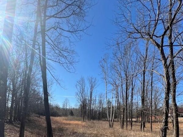 0 Austin Road, Lake Cormorant, MS 38641