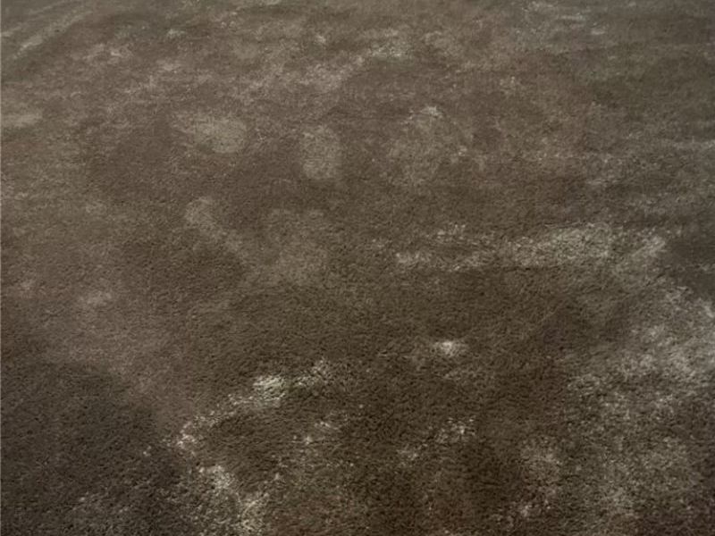 1624 Tanner Avenue SW, Canton, OH 44706 Photo 16