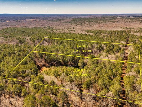 0 Padgett Road, Unit LOT 8 FAYE, Senoia, GA 30276