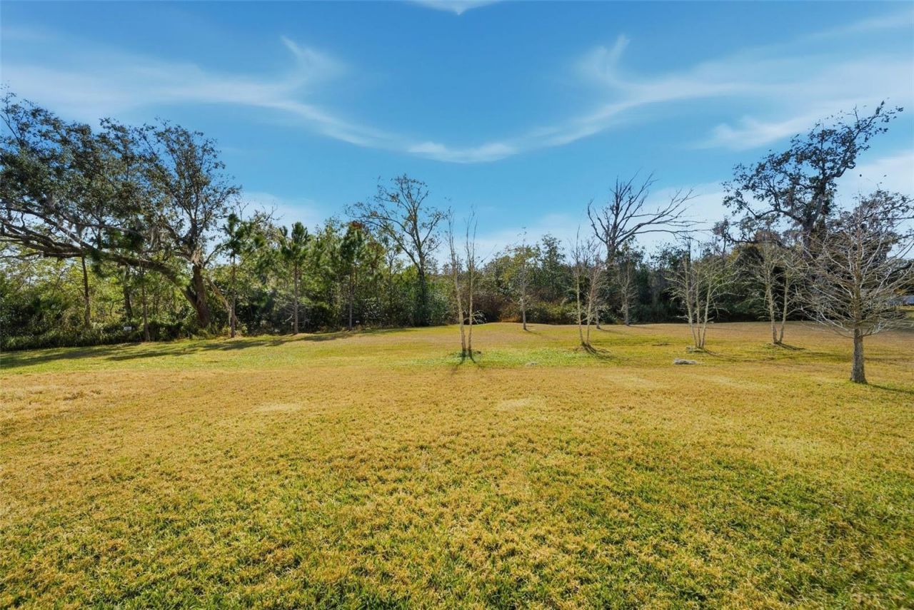 9211 Waverly Walk Drive, Orlando, FL 32817 Photo