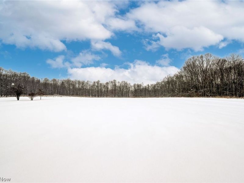 9737 Stanley Road, Garrettsville, OH 44231 Photo 49