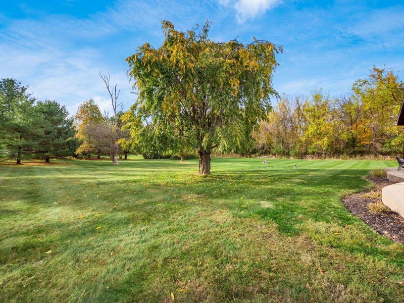 4980 Red Bank Road, Galena, OH 43021 Photo 69