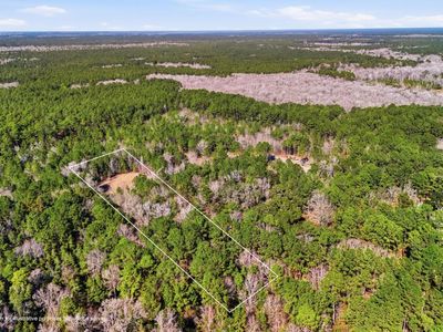 0 Gertie Lane, Cordesville, SC 29434