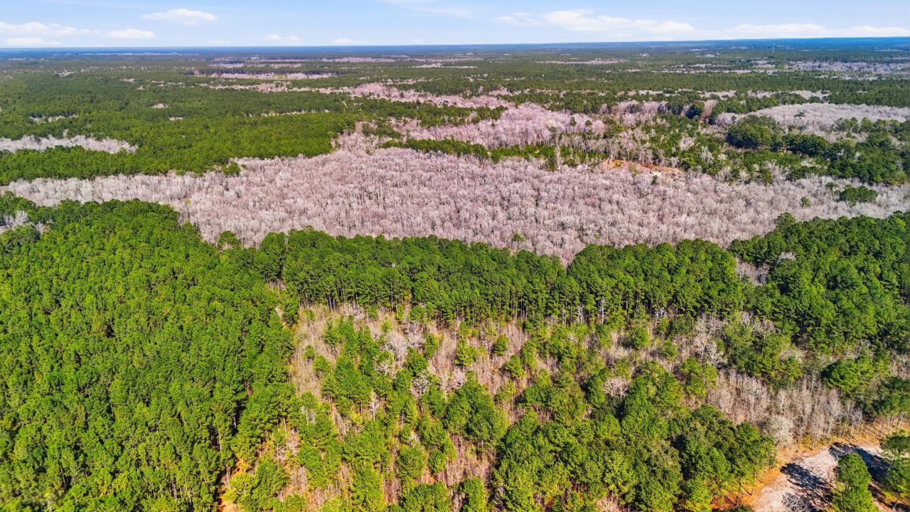 0 Gertie Lane Photo 10