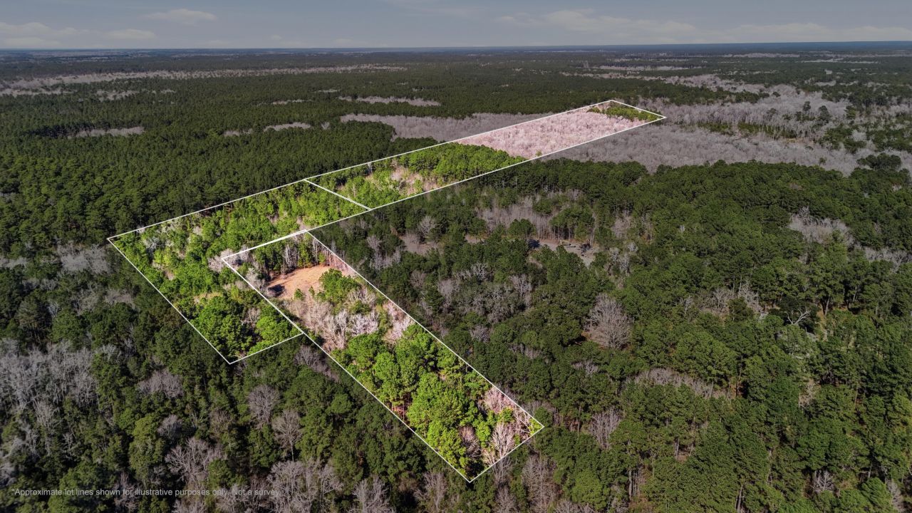 0 Gertie Lane Photo 14