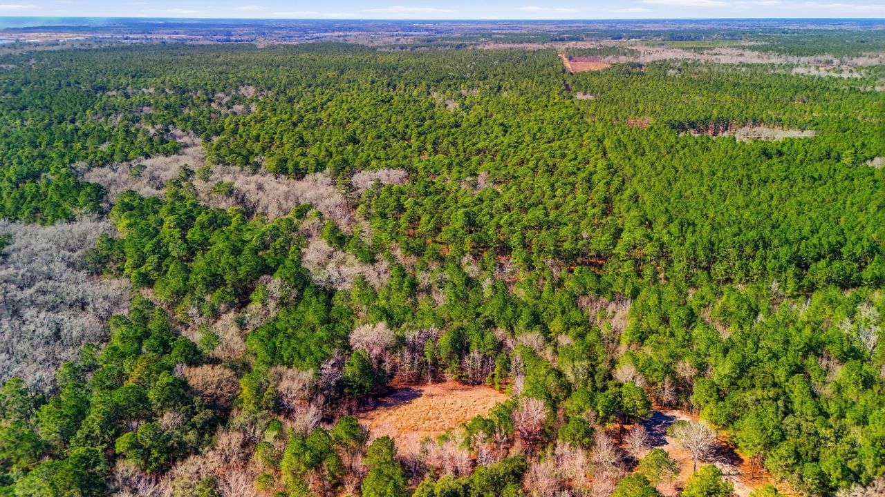 0 Gertie Lane Photo 8