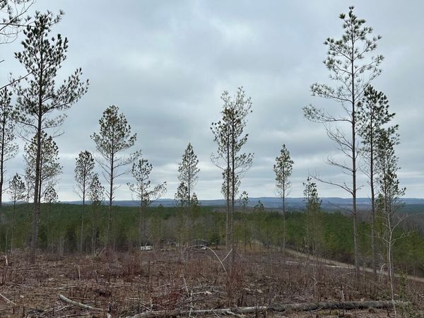 Tract 26 Thomas Springs Road, Crossville, TN 38572