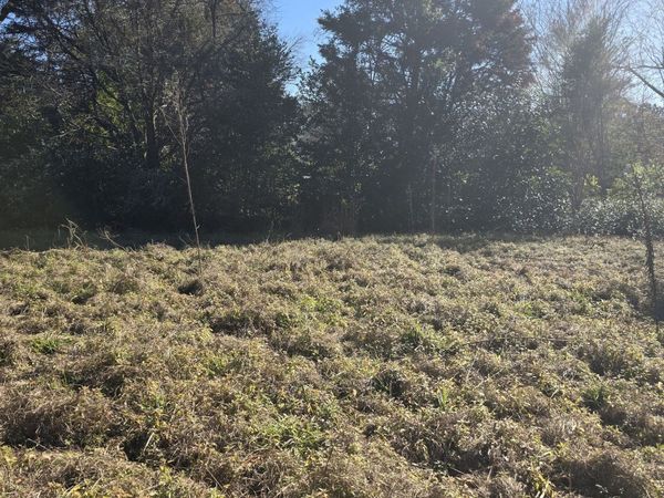 1 Main Street, Register, GA 30452