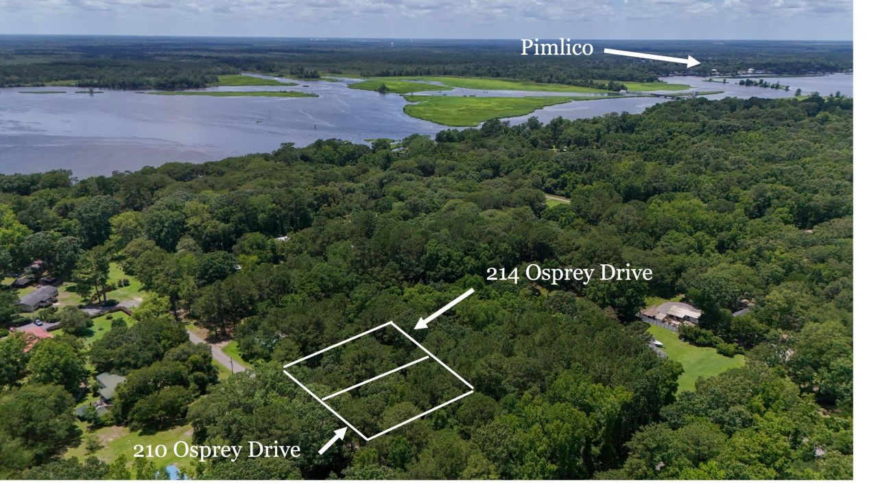 214 Osprey Drive Photo 10