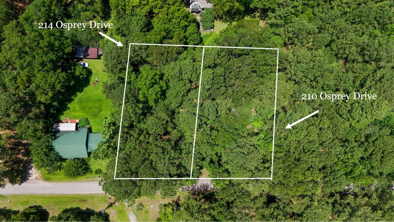 214 Osprey Drive Photo 13