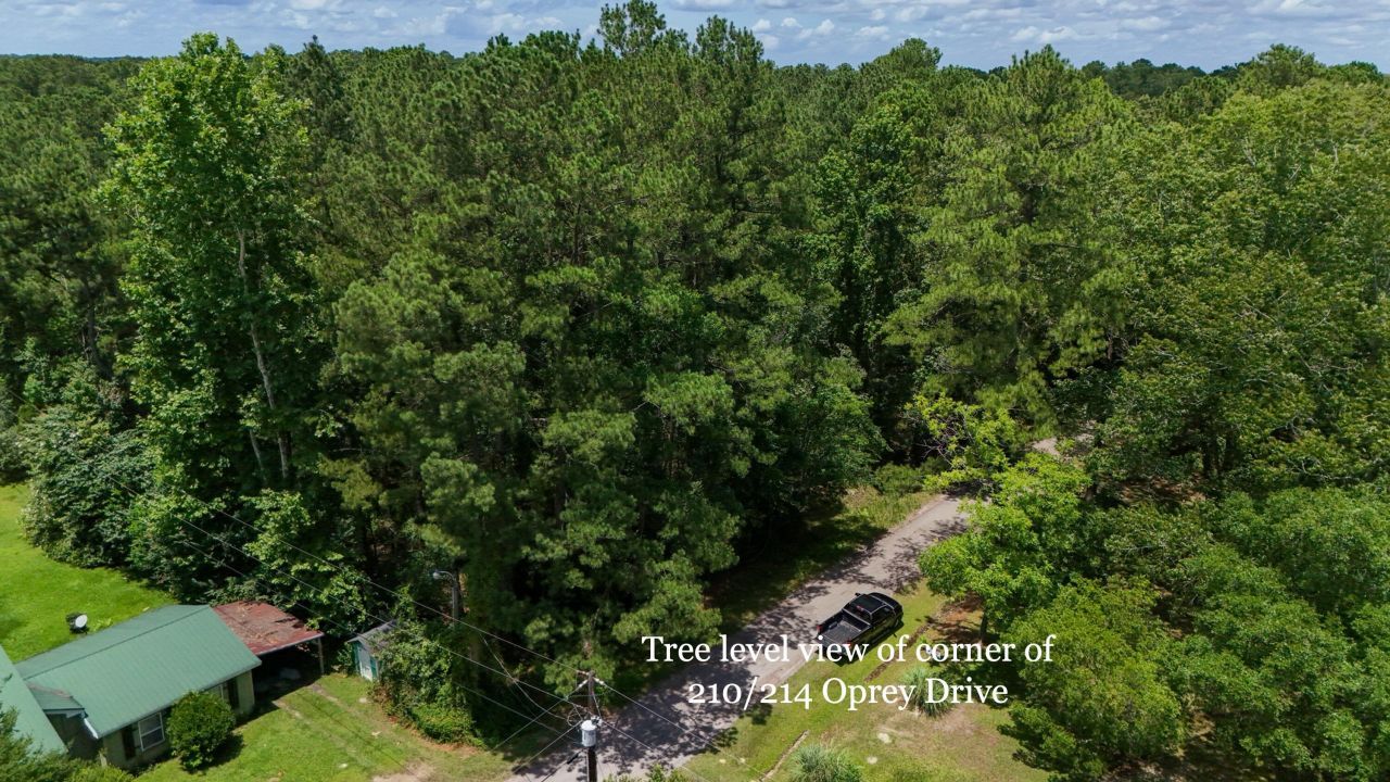 214 Osprey Drive Photo 16