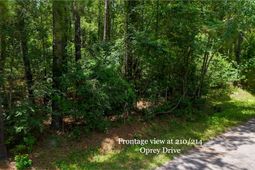 214 Osprey Drive photo 4