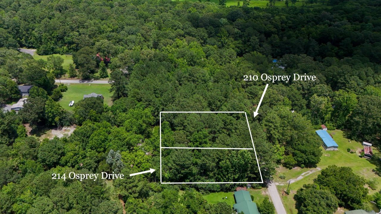 214 Osprey Drive Photo 6