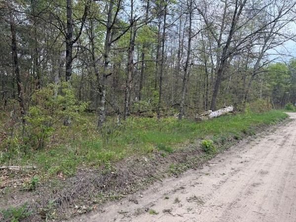 VL Mt. Vernon Avenue, Idlewild, MI 49642