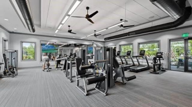 5904 Bluestar Court, Lakewood Ranch, FL 34211 Photo