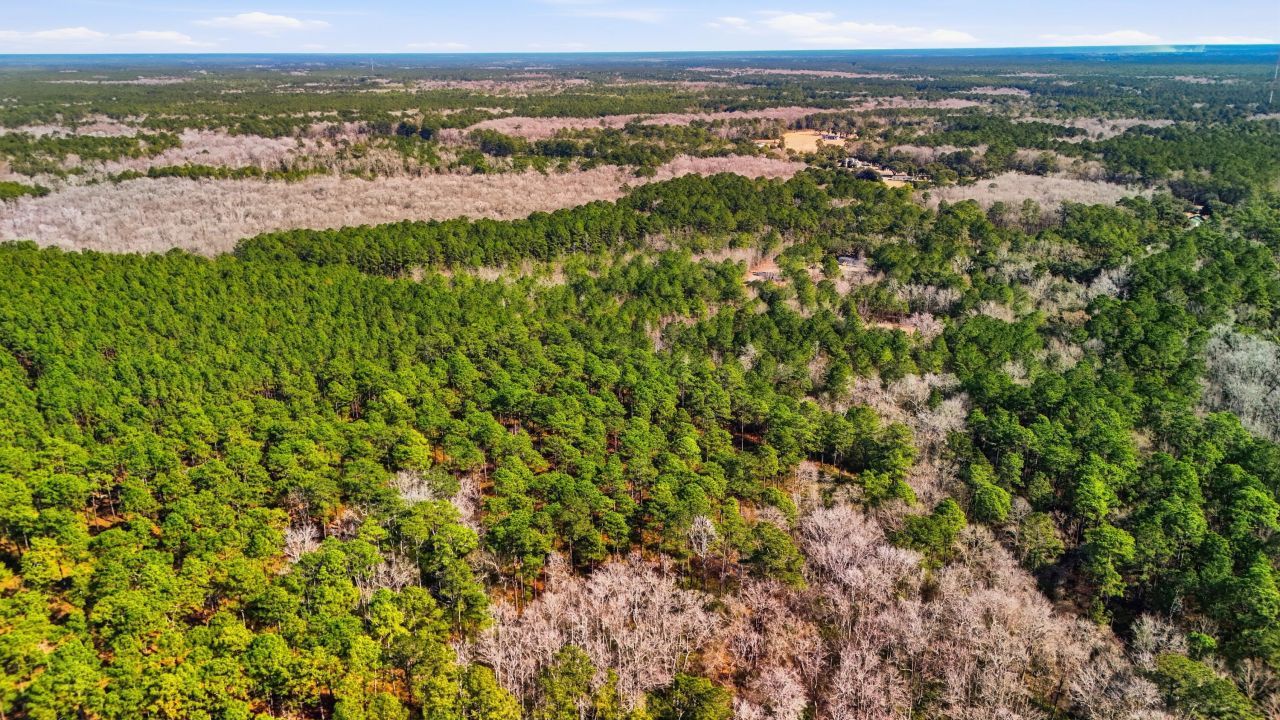 00 Gertie Lane Photo 11