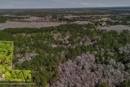 00 Gertie Lane photo 4