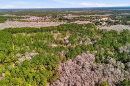 00 Gertie Lane photo 4