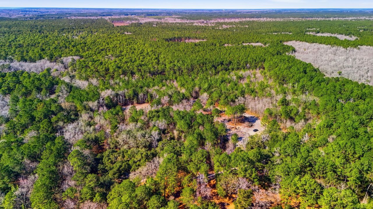 00 Gertie Lane Photo 6