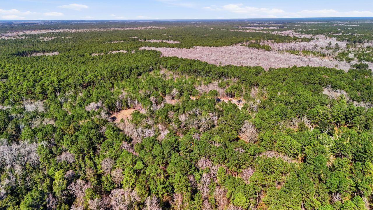 00 Gertie Lane Photo 7