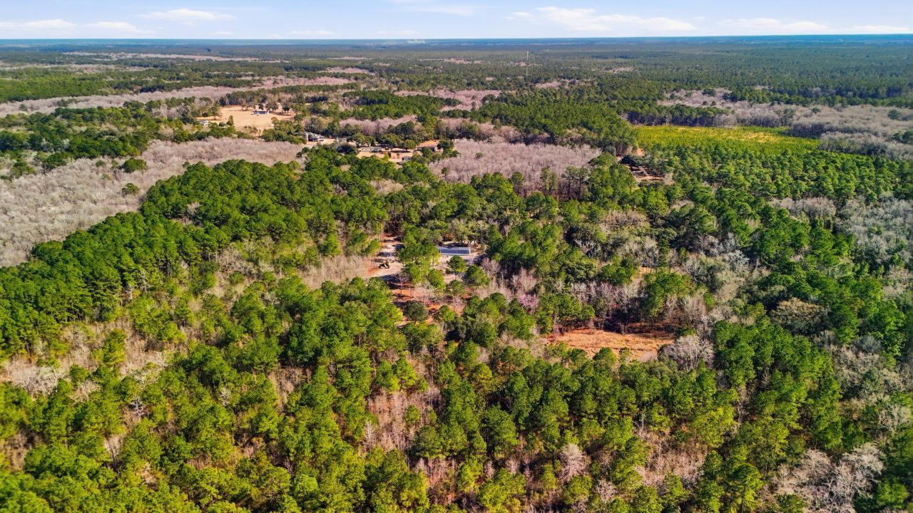 00 Gertie Lane Photo 9