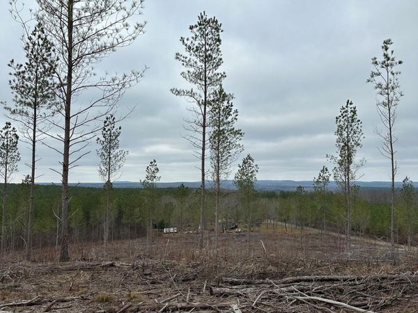 Tract 25 Thomas Springs Road, Crossville, TN 38572