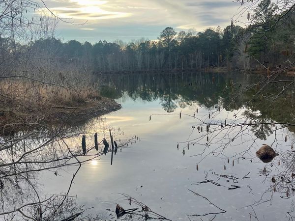 0 Padgett Road, Unit LOT 10, Senoia, GA 30276