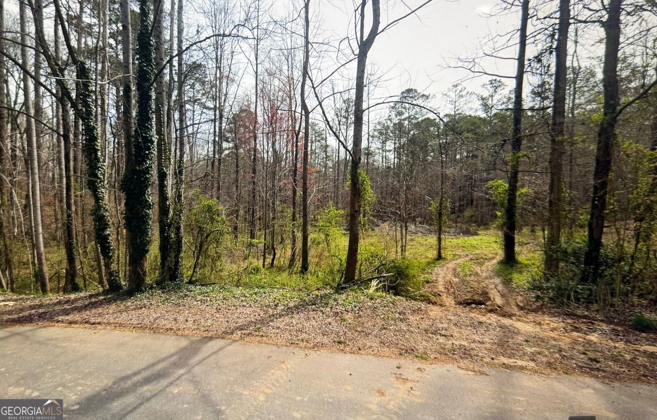 303 Mariner Circle, Woodstock, GA 30189 Main Photo