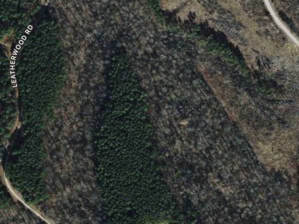 1970 Shores Trl, Stewart, TN 37175