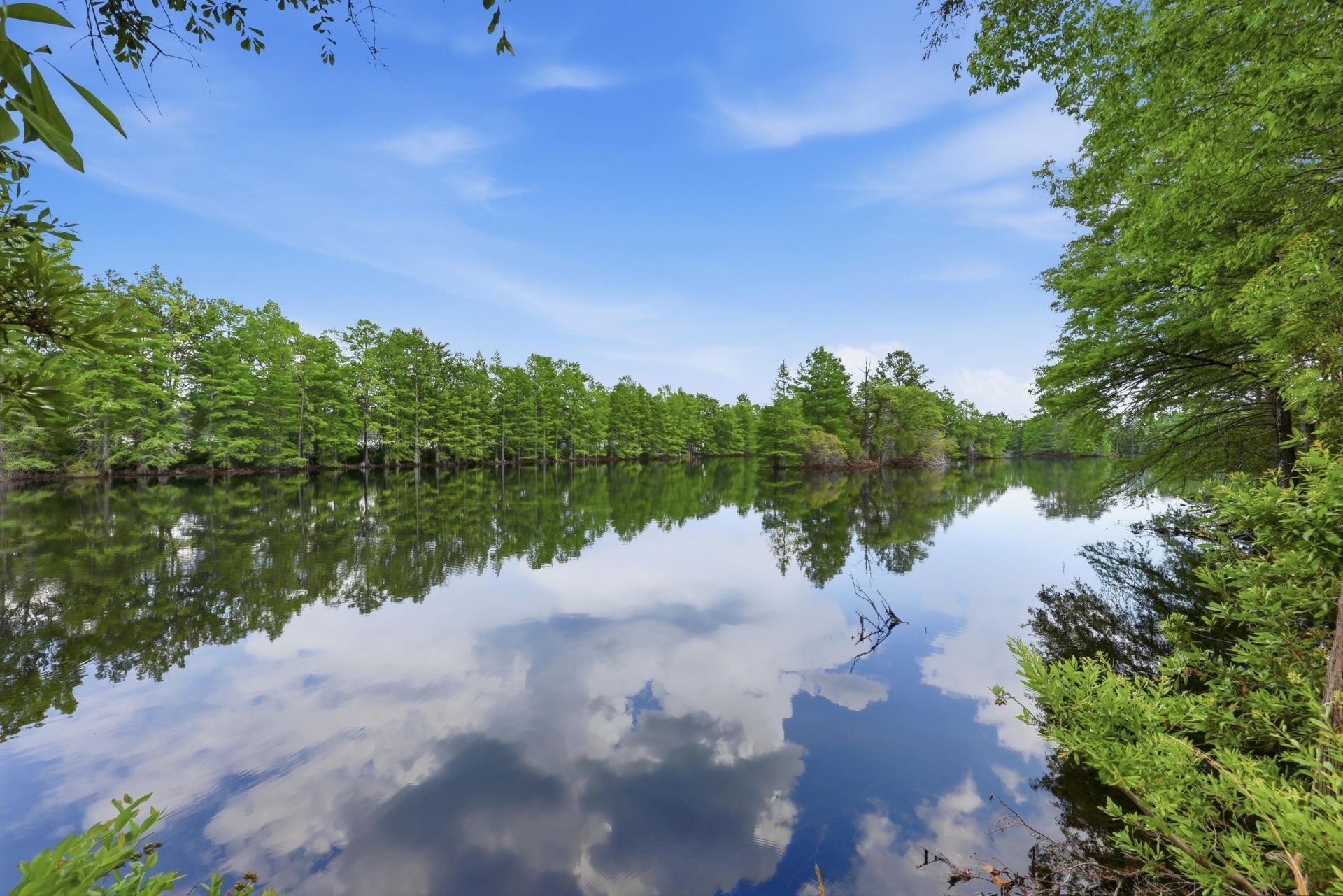 616 Goretown Loop Photo 32