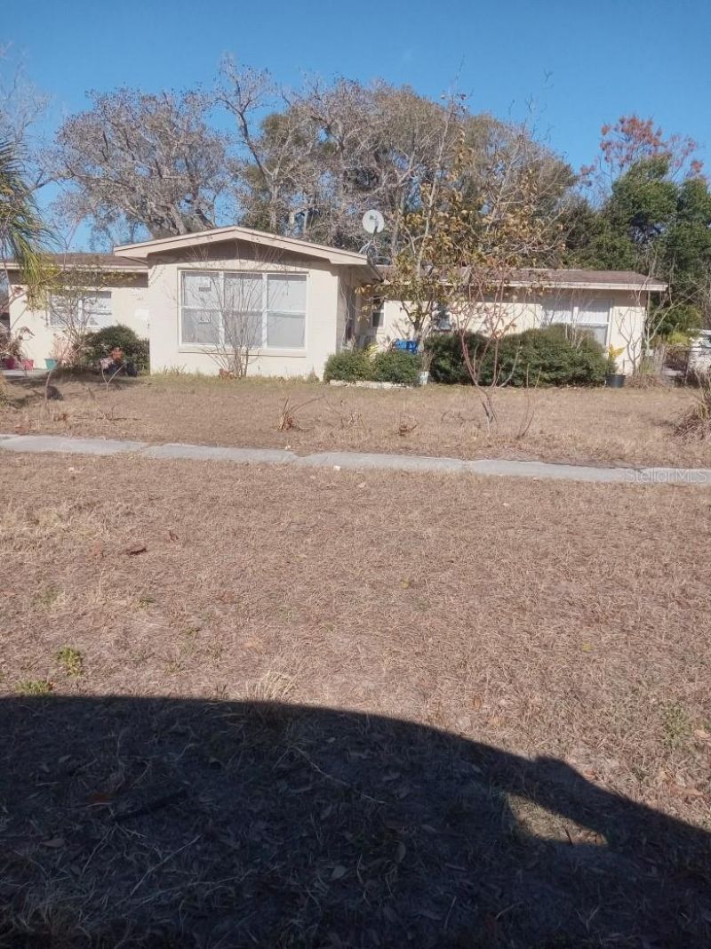 6917 Bream Street, Tampa, FL 33617 Main Photo