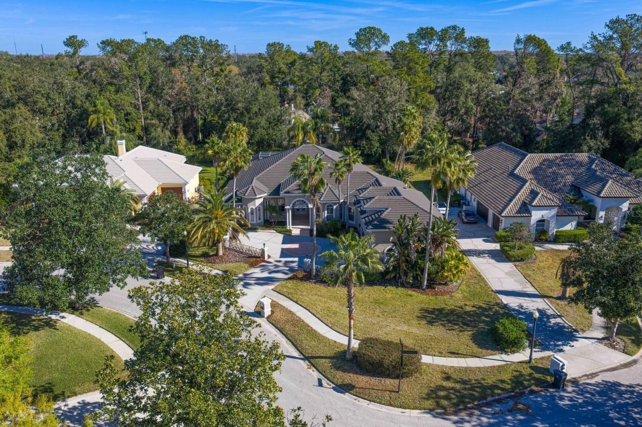 6441 Renwick Circle, Tampa, FL 33647 Photo