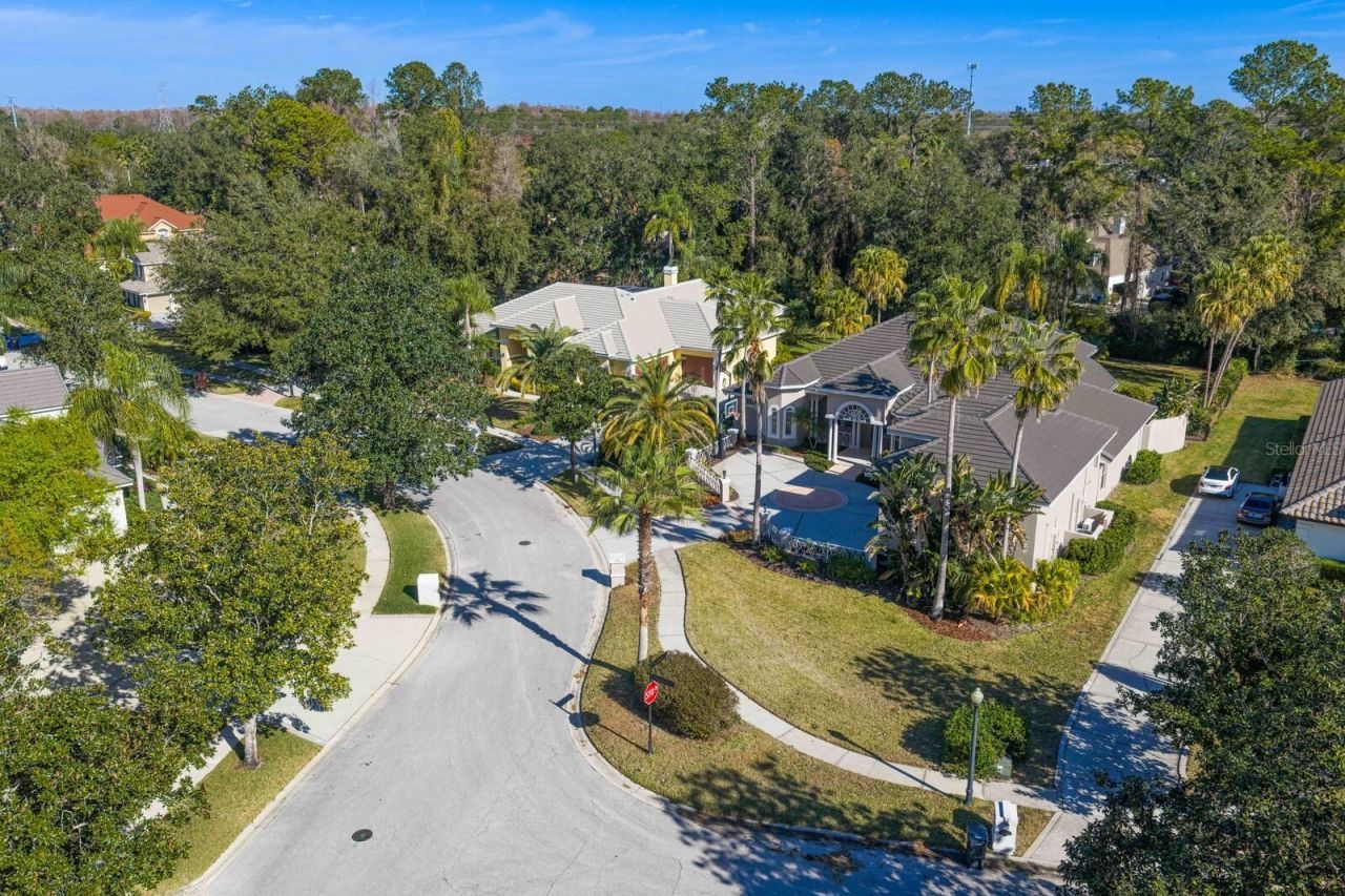 6441 Renwick Circle, Tampa, FL 33647 Photo