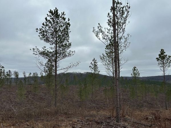 Tract 24 Thomas Springs Road, Crossville, TN 38572