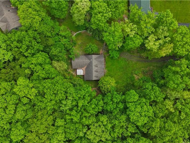 48276 Dyke Road, Negley, OH 44441 Photo 2