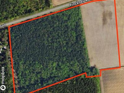 tbd Pinckney Rd., Nichols, SC 29581