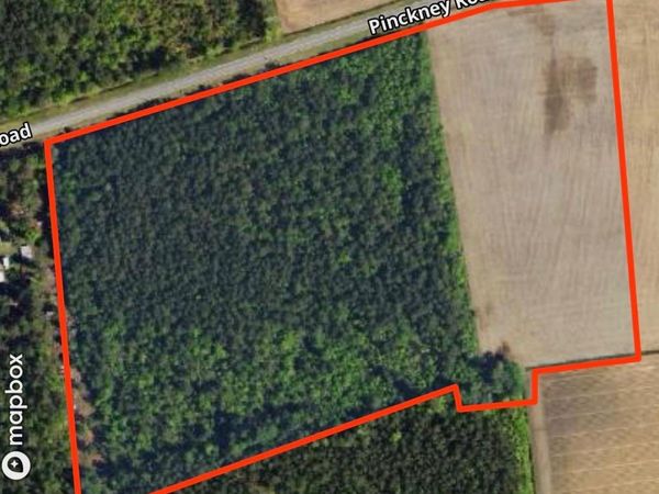 tbd Pinckney Rd., Nichols, SC 29581