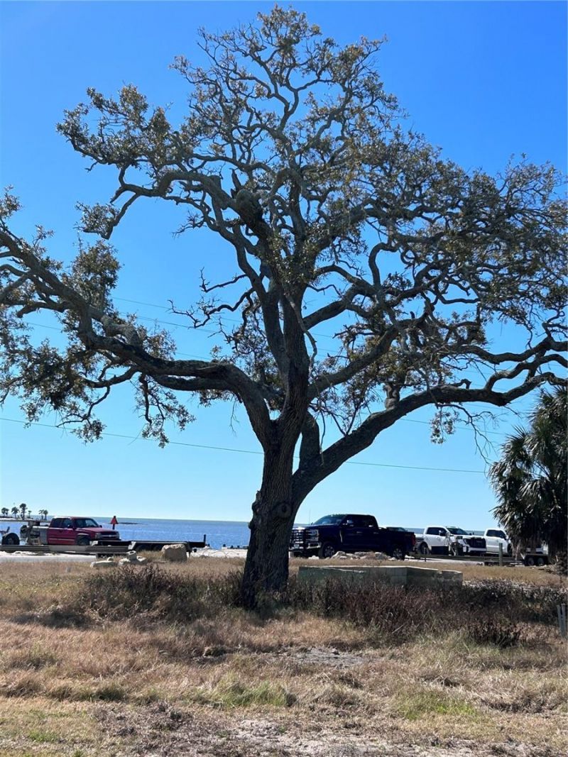 502 Main Street, Unit 207, Horseshoe Beach, FL 32648 Photo